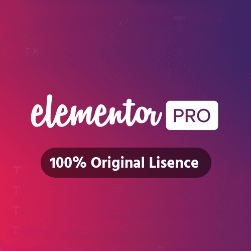 Elementor pro Plugin