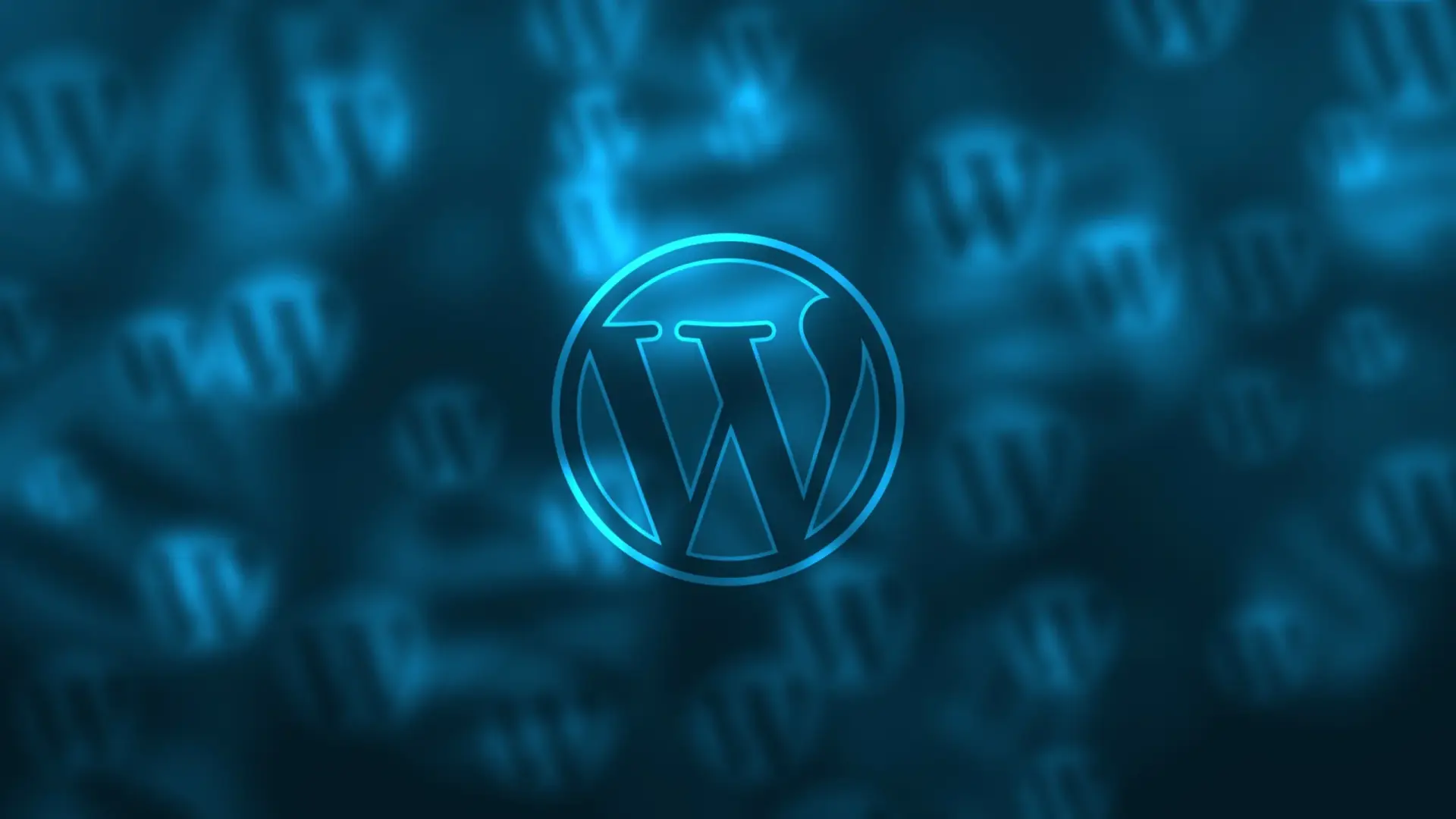 wordpress development